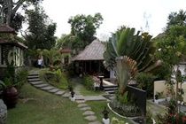 Villa Nirvana Bali Ubud Eksteriør billede